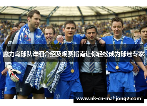 魔力鸟球队详细介绍及观赛指南让你轻松成为球迷专家